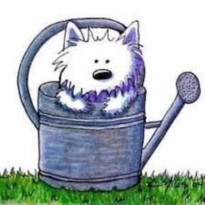 Meet your Posher, Shari